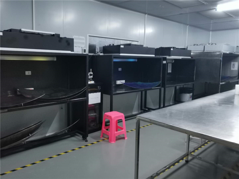 星空xk镀膜加工电镀手机膜